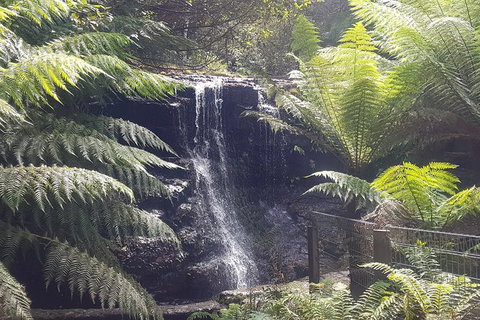 Mt. Wellington Morning Hike + Afternoon Beer & History Walk - Australian Destinations 16