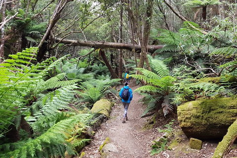 Mt. Wellington Morning Hike + Afternoon Beer & History Walk - Australian Destinations 7