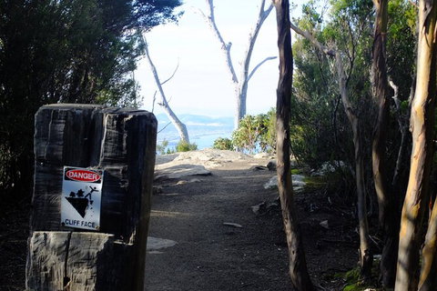Mt. Wellington Morning Hike + Afternoon Beer & History Walk - Australian Destinations 14