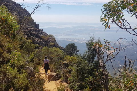 Mt. Wellington Morning Hike + Afternoon Beer & History Walk - Australian Destinations 1