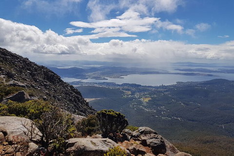 Mt. Wellington Morning Hike + Afternoon Beer & History Walk - Australian Destinations 5