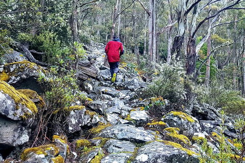 Mt. Wellington Morning Hike + Afternoon Beer & History Walk - Australian Destinations 8
