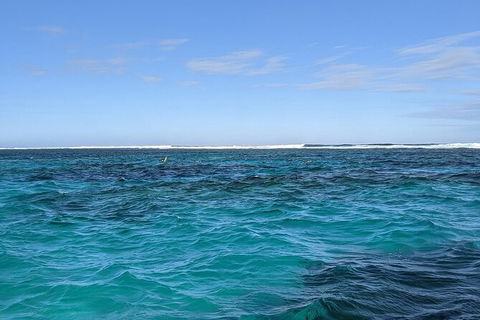 Marine Eco Safari - Swim With Manta Rays - Australian Destinations 2