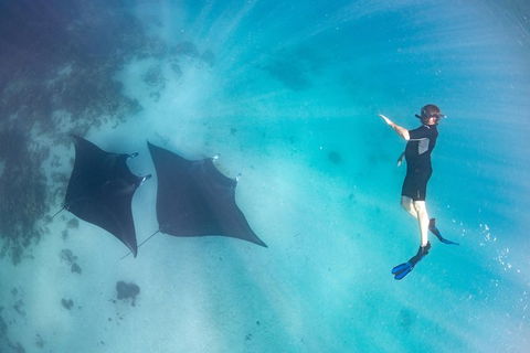 Marine Eco Safari - Swim With Manta Rays - Australian Destinations 1