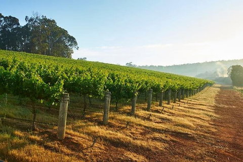 Botanical Gardens, Winery And Scenic Full Day Tour - Australian Destinations 2