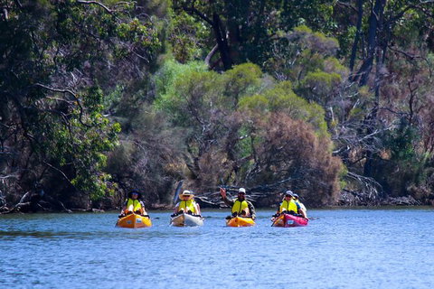 Private Guided River Kayak Tour - Australian Destinations 6