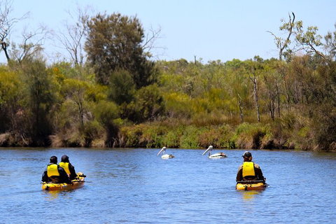 Private Guided River Kayak Tour - Australian Destinations 4