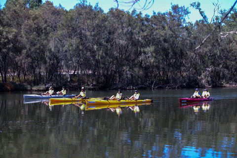 Private Guided River Kayak Tour - Australian Destinations 5