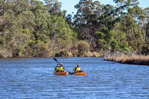 Private Guided River Kayak Tour - Australian Destinations 7