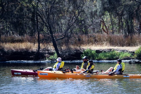 Private Guided River Kayak Tour - Australian Destinations 3