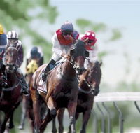 Colac Turf Club - Australian Destinations