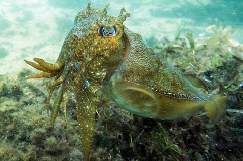 Busselton Jetty & Underwater Observatory Tour - Australian Destinations 4