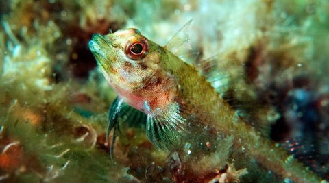 Busselton Jetty & Underwater Observatory Tour - Australian Destinations 7