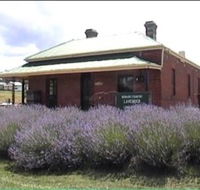 Lavender House in Railway Park - Australian Destinations