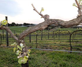 Nalbra Estate Wines - Australian Destinations 0