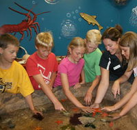 Naturaliste Marine Discovery Centre - Australian Destinations
