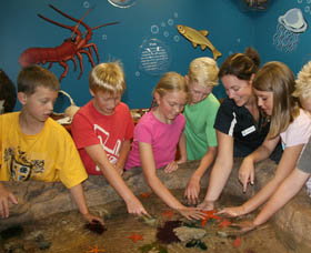 Naturaliste Marine Discovery Centre - Australian Destinations 0