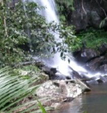 Araucaria Ecotours - Australian Destinations 4