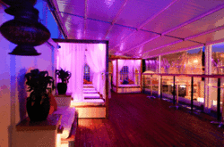 Circus Bar  Night Club - Australian Destinations