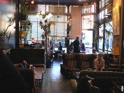 Blackcat - Australian Destinations 1