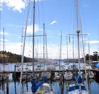 Oyster Cove Inn - Australian Destinations