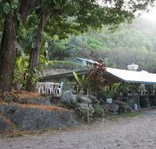 Ellis Beach Bar  Grill - Australian Destinations