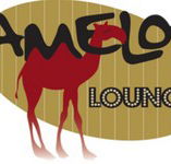 Camelot Lounge - Australian Destinations