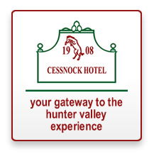 The Cessnock Hotel - Australian Destinations 2