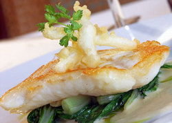 The Telegraph Hotel Geelong - Australian Destinations 2