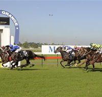 Kembla Grange Racecourse - Illawarra Turf Club - Australian Destinations