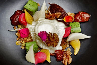 Botanical Hotel - Australian Destinations 0