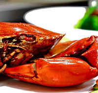 Newquay International Buffet - Australian Destinations