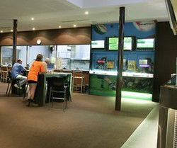 Chester Hill Hotel - Australian Destinations 3