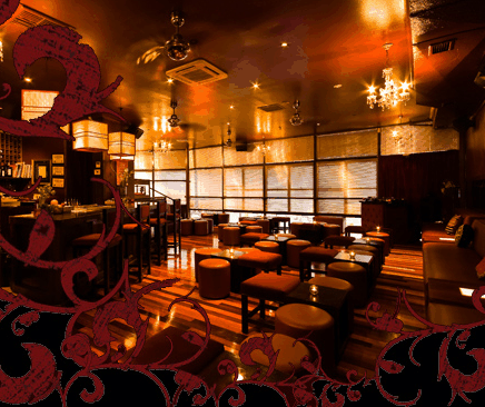 Hippo Lounge Bar - Australian Destinations