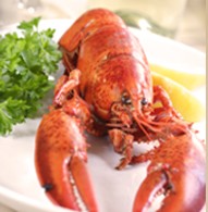 Il Piatto Restaurant - Australian Destinations 1