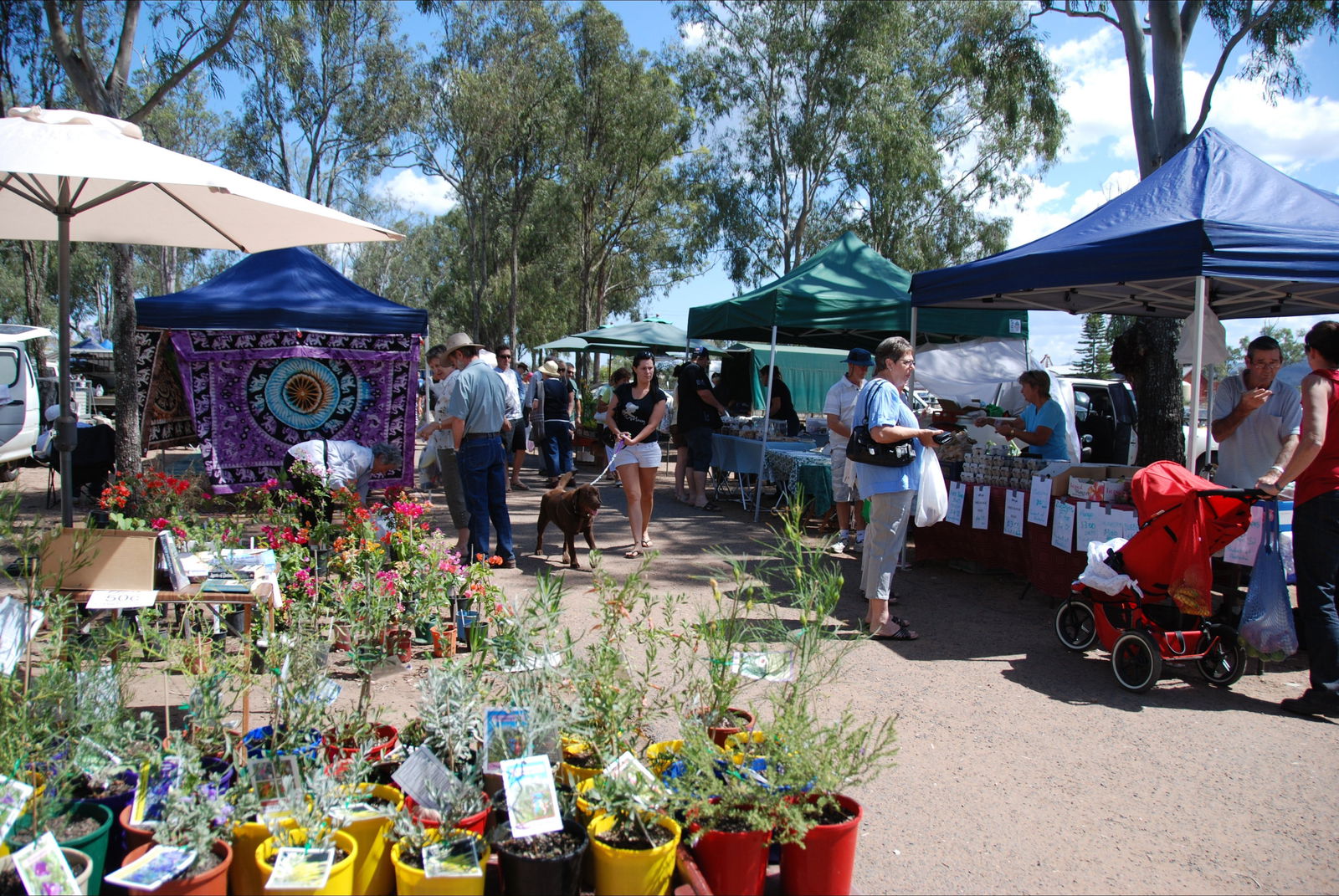Fernvale QLD Australian Destinations