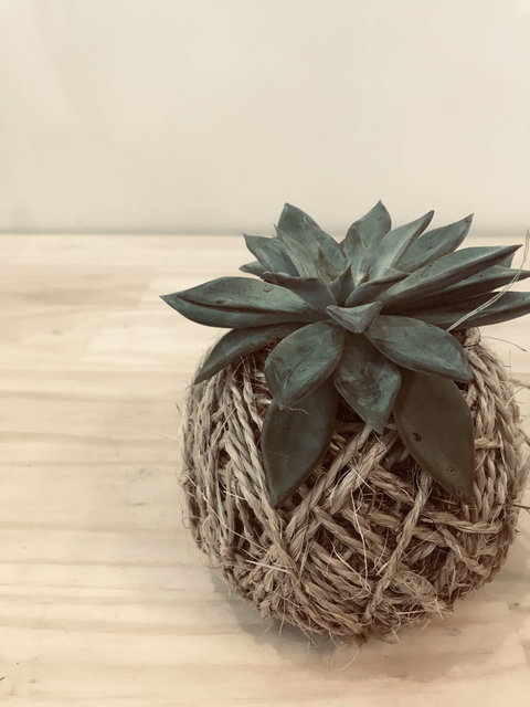 Kokedama Workshop - Australian Destinations 0