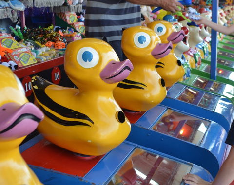 Casino Agricultural Show - Australian Destinations 0