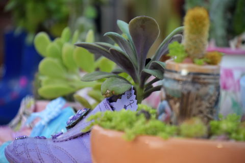 QCWA Sunday Markets Charters Towers - Australian Destinations 2