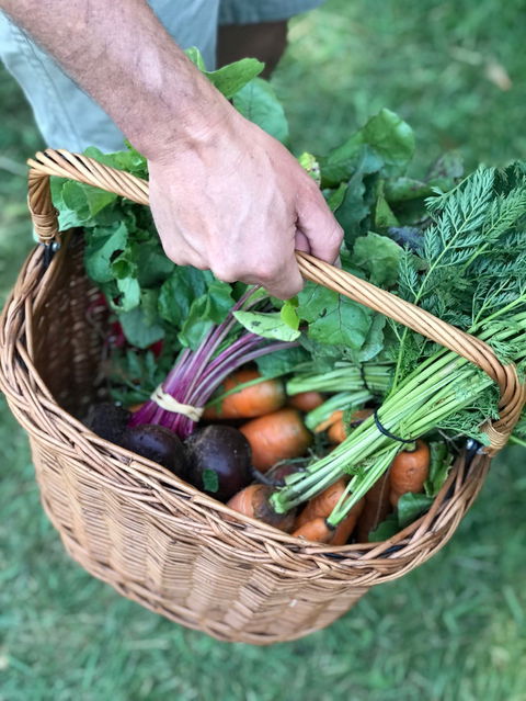 Orange Farmers Market - Australian Destinations 0