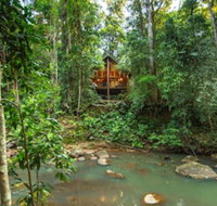 The Canopy Rainforest Treehouses and Wildlife Sanctuary - Australian Destinations
