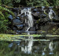 Kondalilla Eco Resort - Australian Destinations