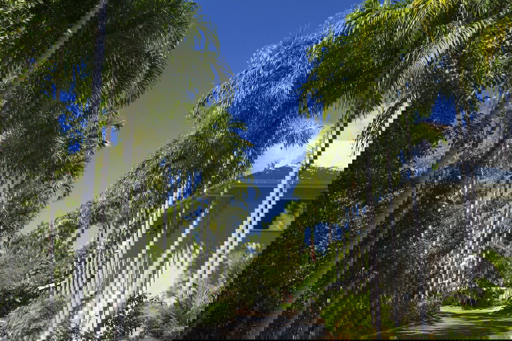 Mccutcheon QLD Australian Destinations