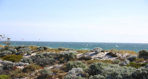 Scarborough & Absolutely Beachfront - Australian Destinations 4