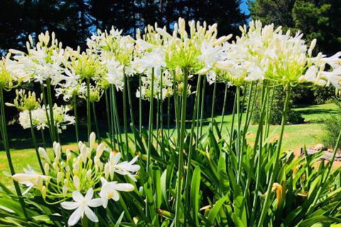 Carawah Ridge - Australian Destinations 4