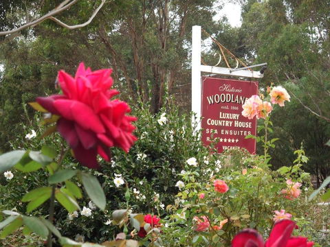Woodlands Of Bridgetown B & B - Australian Destinations 5
