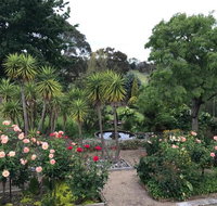 Wonderland Hobby Farm