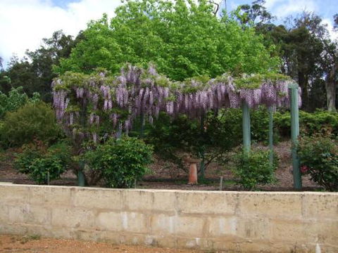 Nannup Riverview Cottage - Australian Destinations 5