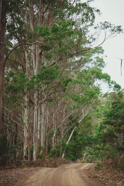 Naivasha Cottage - Australian Destinations 2