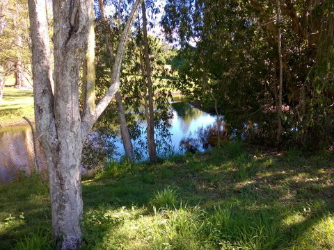 Eumundi Cottages Cottage 1 - Australian Destinations 4